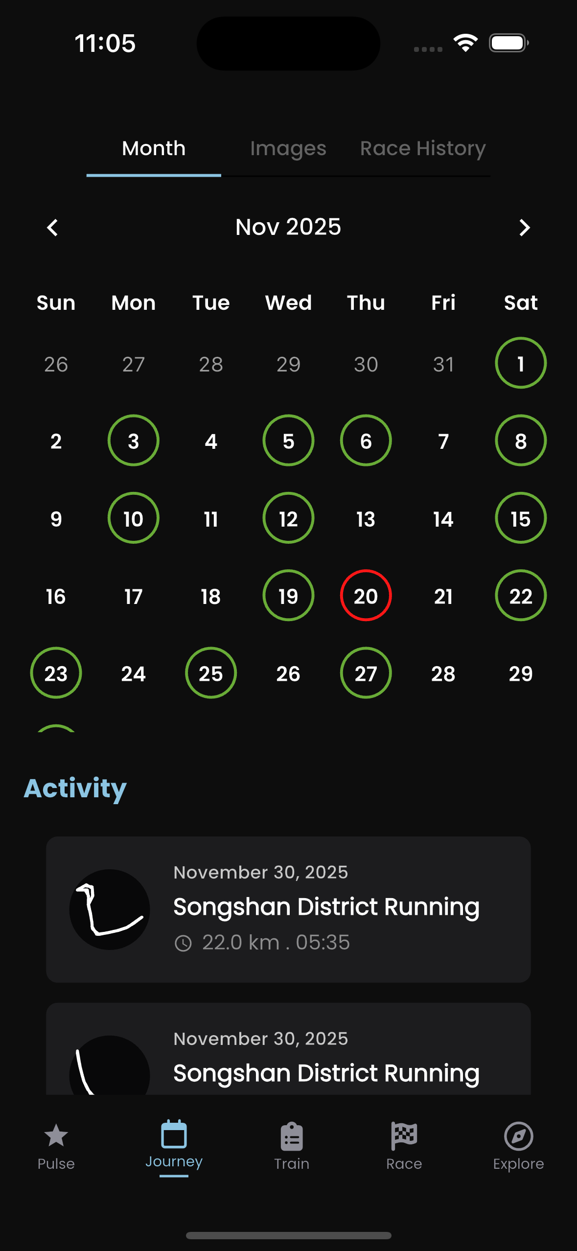 Monthly calendar showing activity history